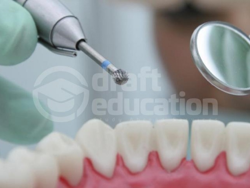 Yurt Dışında Diş Hekimliği Eğitimi İçin  Tercih Edebileceğiniz Üniversiteler